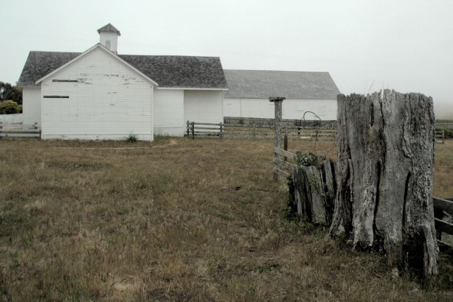 PointReyesFarm05